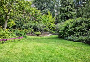 Optimiser l'expérience du jardin à Serley