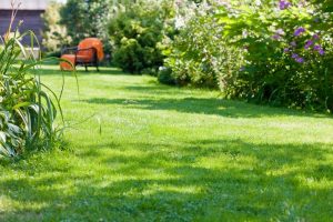 travaux jardin et paysage Serley